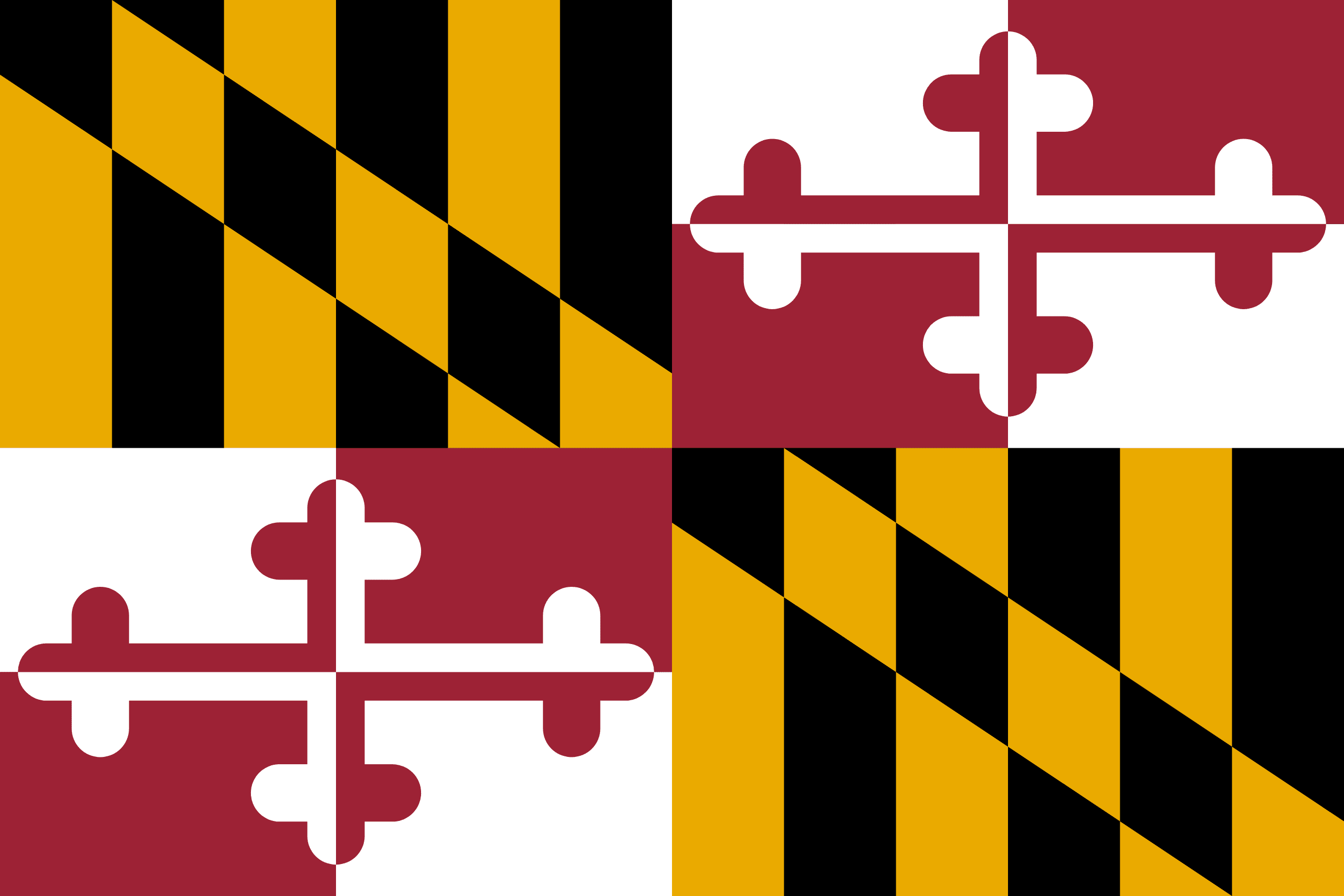 MD state flag