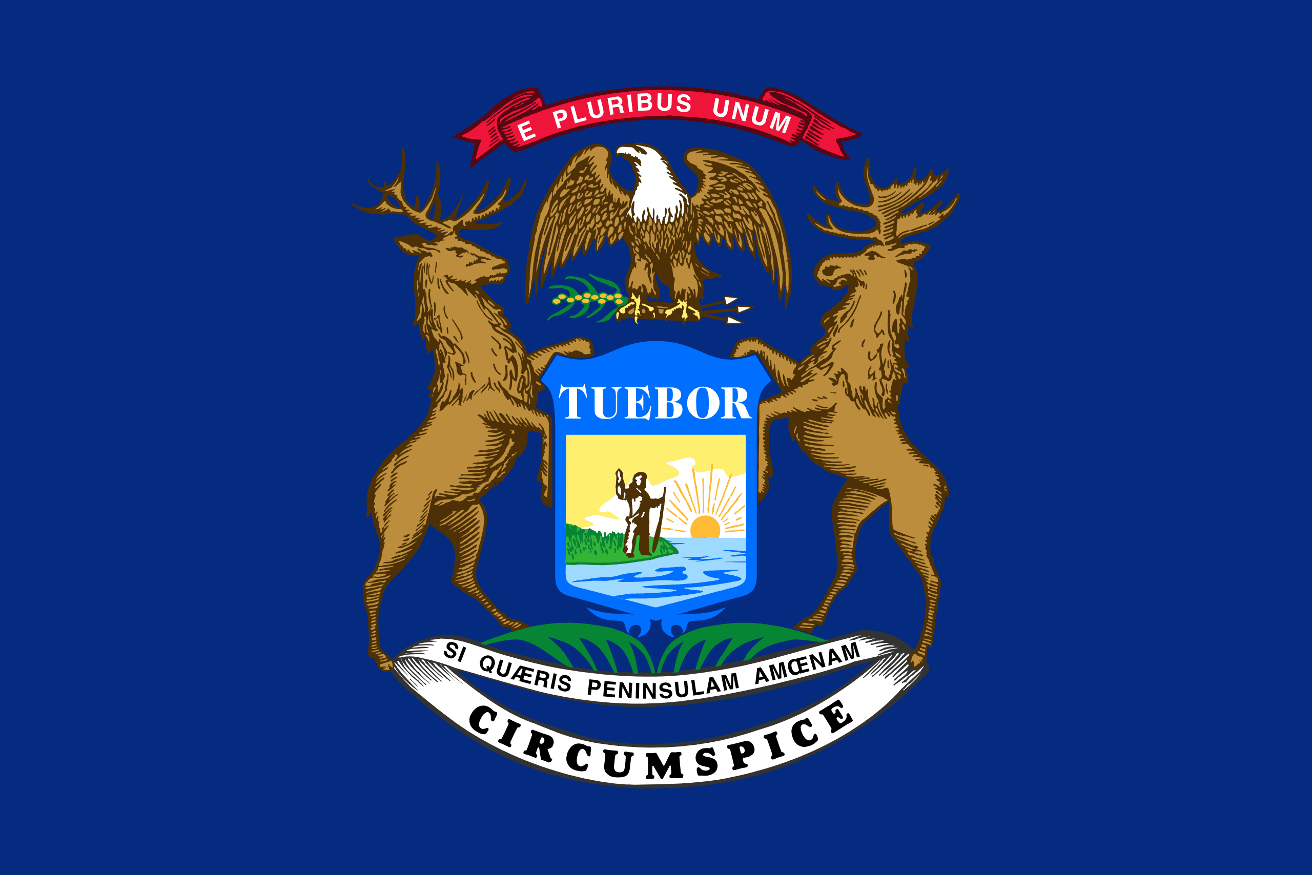MI state flag