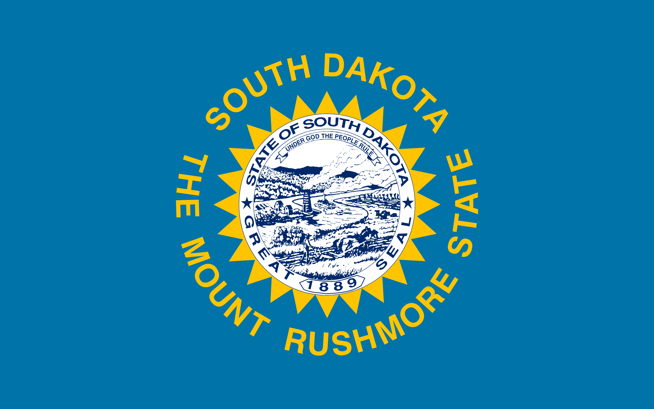 SD state flag